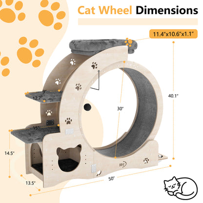 40" Cat Exercise Wheel for Cats