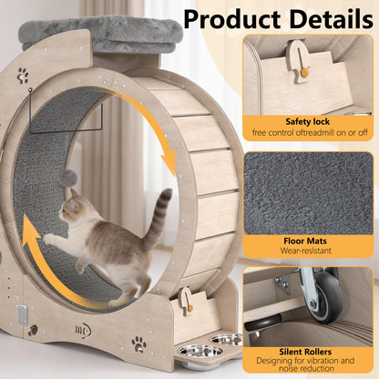 40" Cat Exercise Wheel for Cats