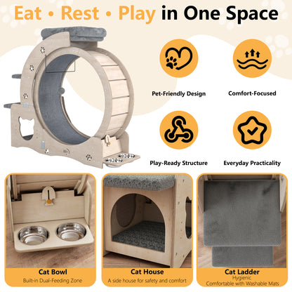 40" Cat Exercise Wheel for Cats