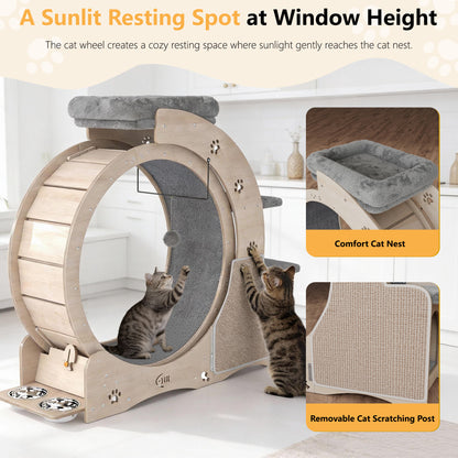 40" Cat Exercise Wheel for Cats