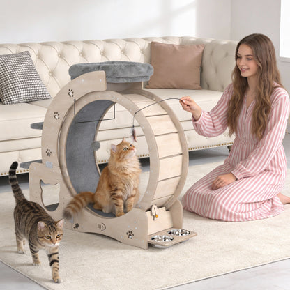 40" Cat Exercise Wheel for Cats